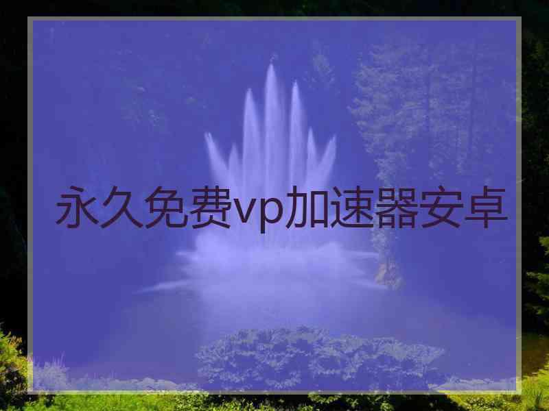 永久免费vp加速器安卓