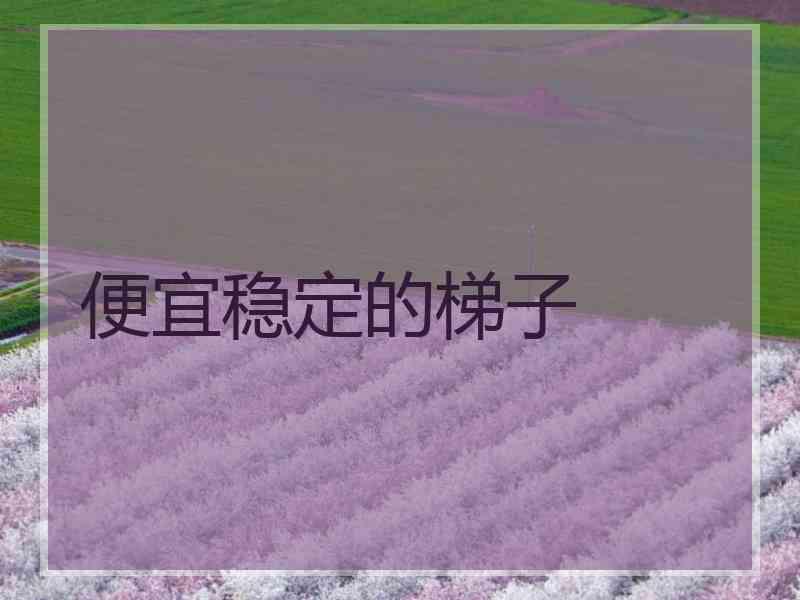 便宜稳定的梯子