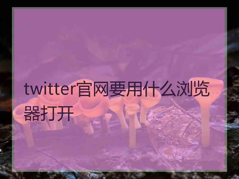 twitter官网要用什么浏览器打开