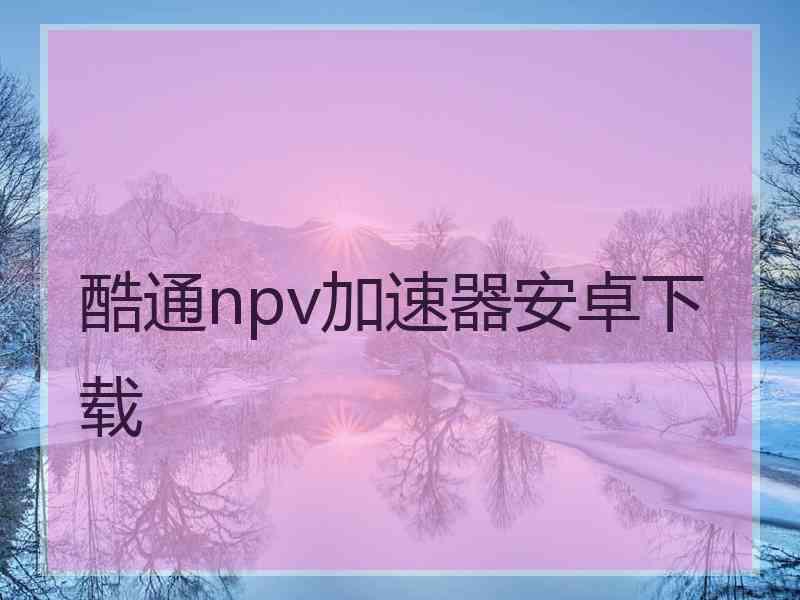 酷通npv加速器安卓下载