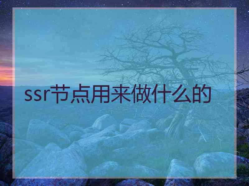 ssr节点用来做什么的