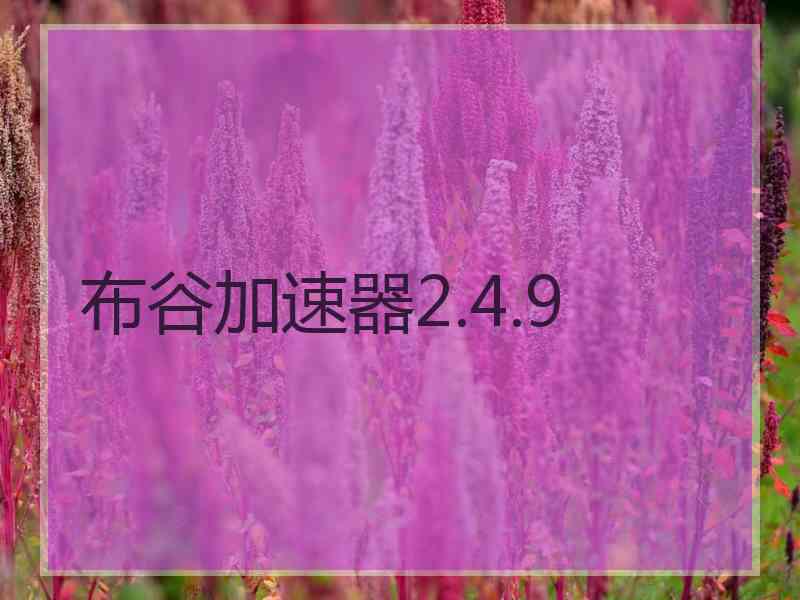 布谷加速器2.4.9