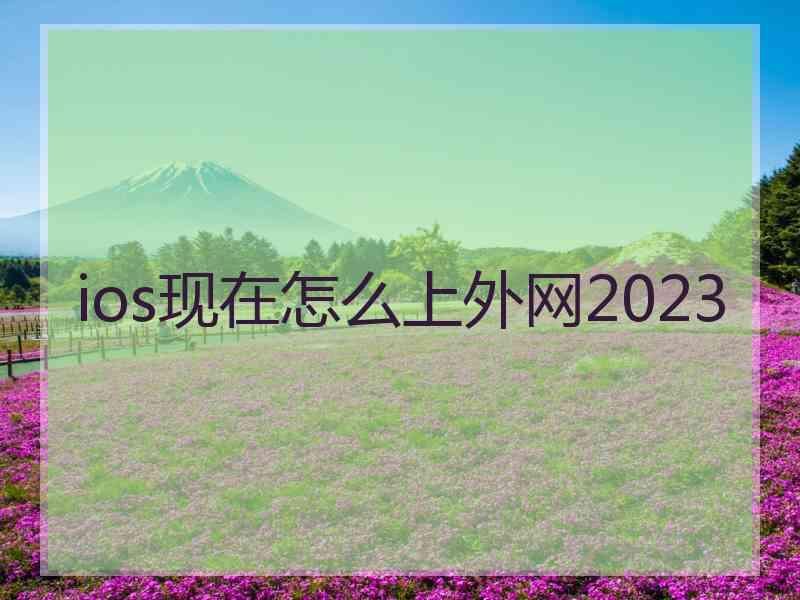 ios现在怎么上外网2023