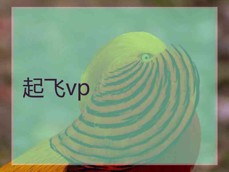 起飞vp