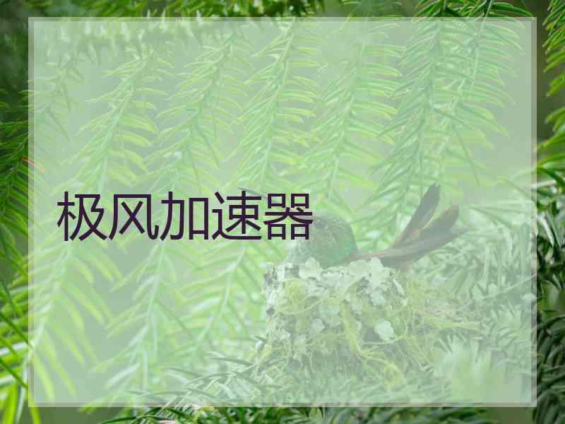 极风加速器