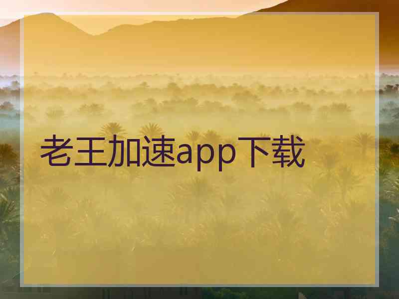 老王加速app下载