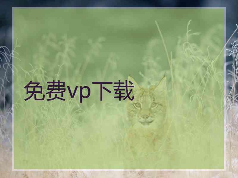 免费vp下载