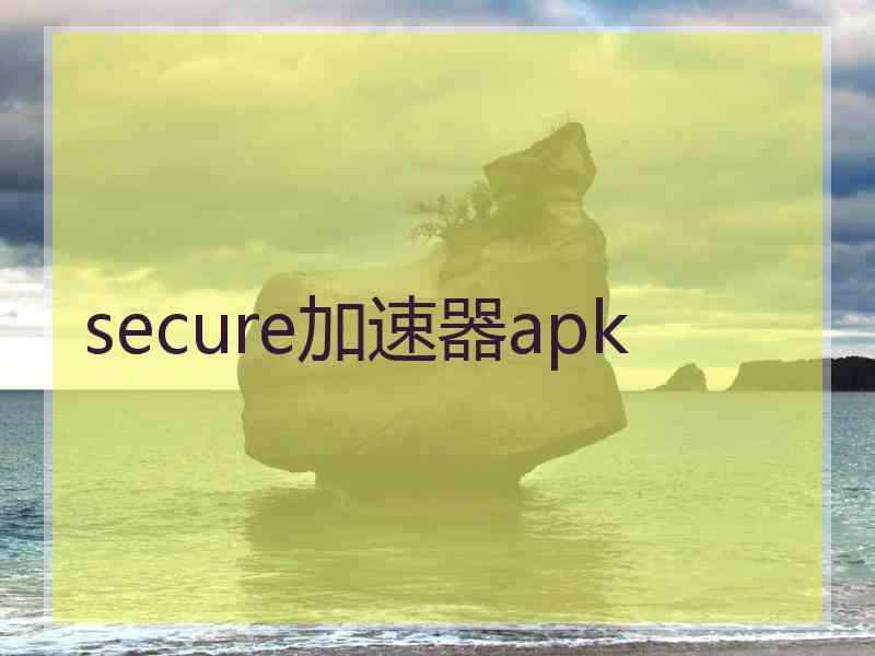 secure加速器apk