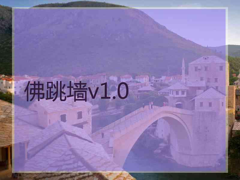 佛跳墙v1.0