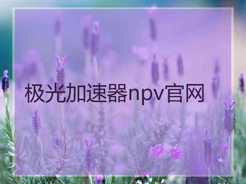 极光加速器npv官网