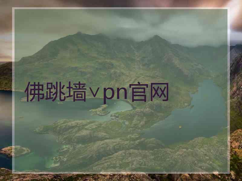 佛跳墙∨pn官网