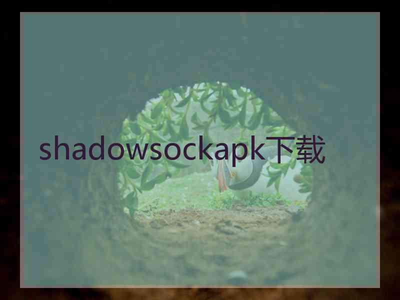 shadowsockapk下载