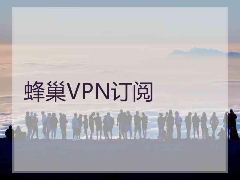 蜂巢VPN订阅