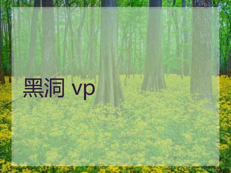 黑洞 vp