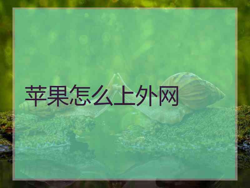 苹果怎么上外网