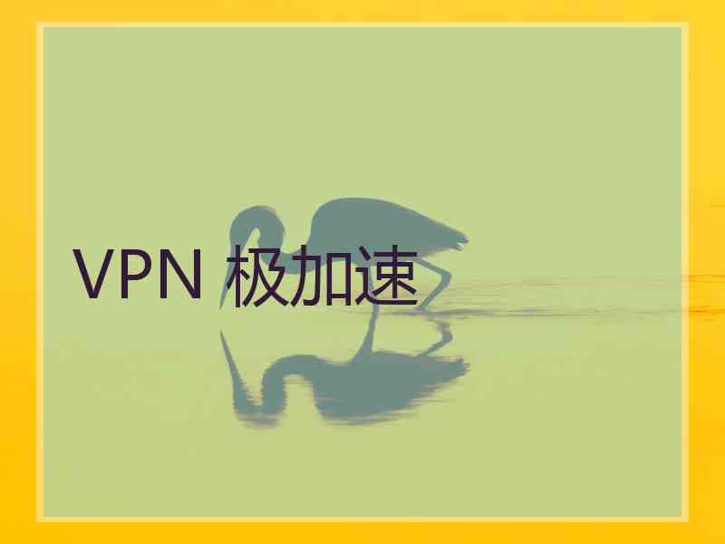 VPN 极加速