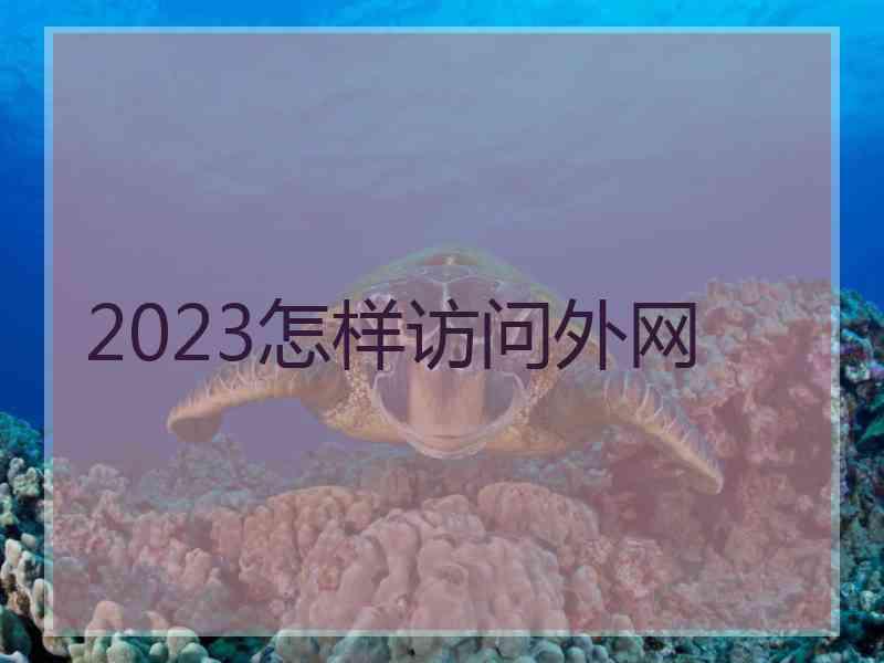 2023怎样访问外网