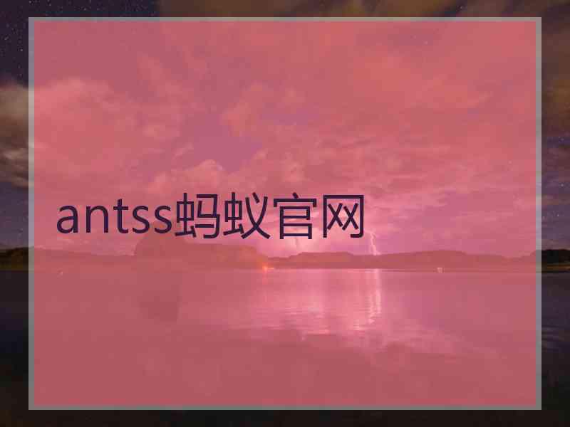 antss蚂蚁官网