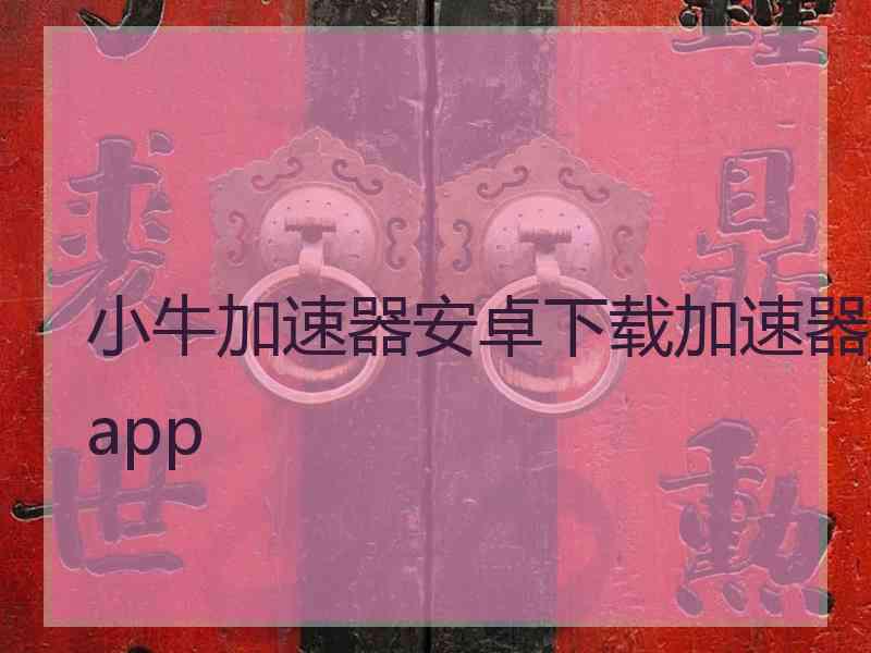 小牛加速器安卓下载加速器app