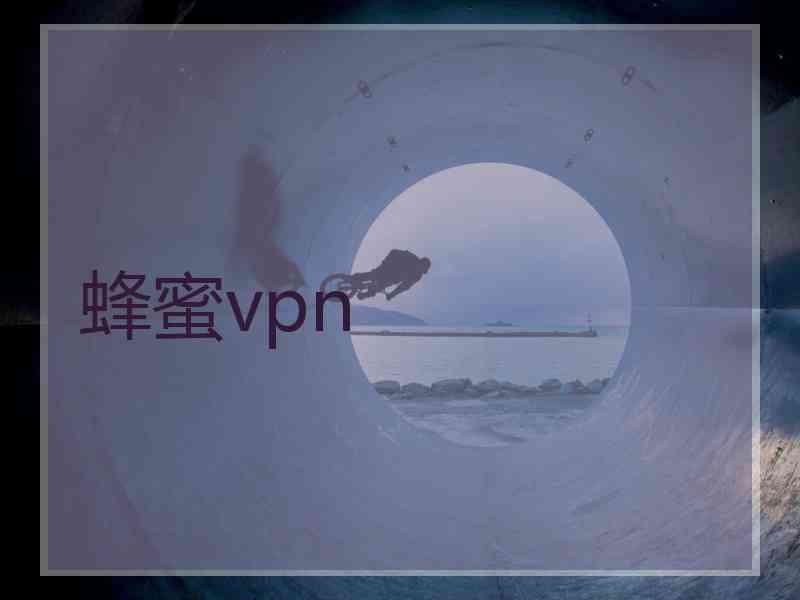 蜂蜜vpn