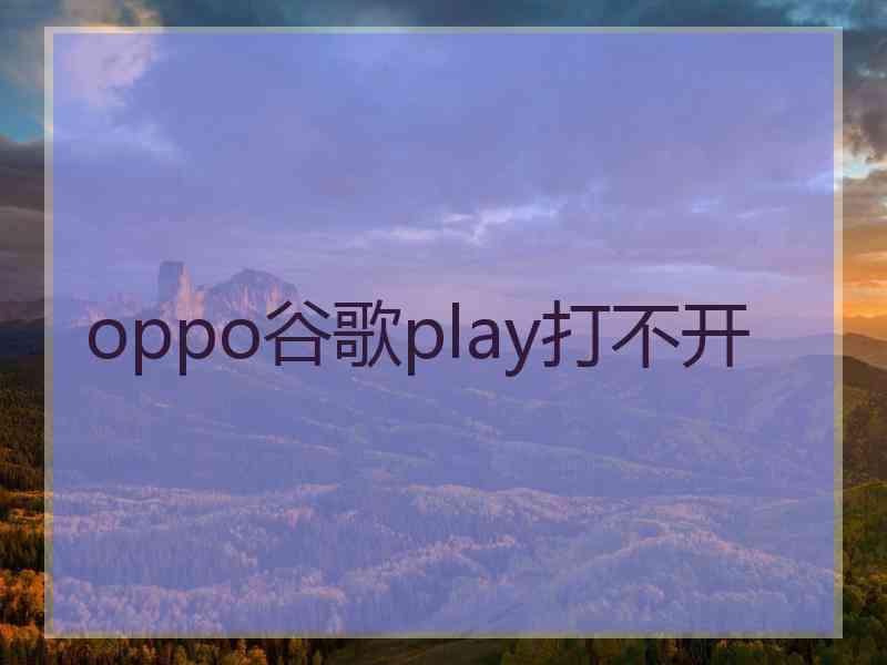 oppo谷歌play打不开