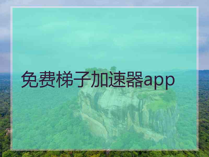 免费梯子加速器app