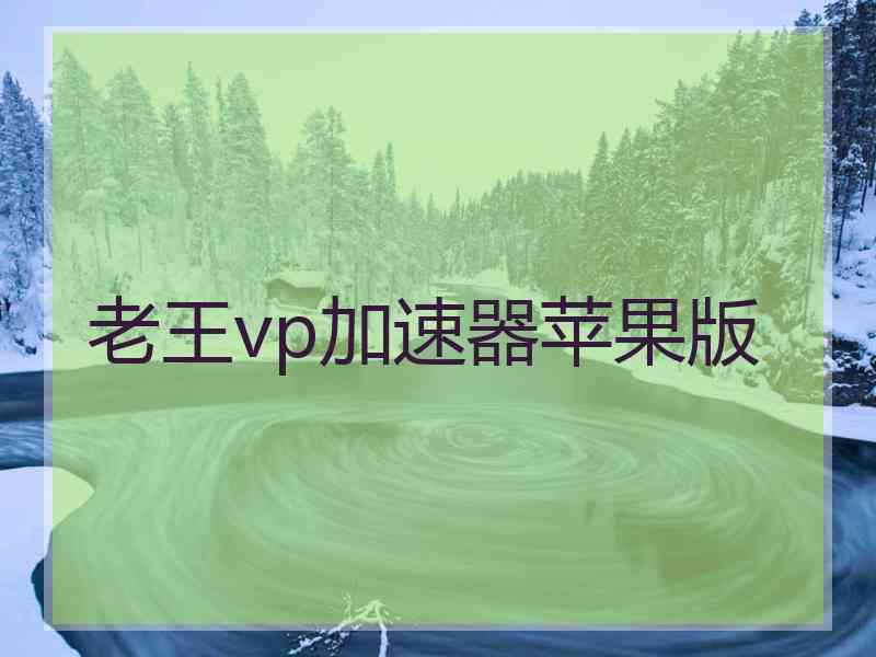 老王vp加速器苹果版