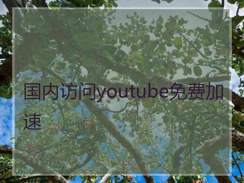 国内访问youtube免费加速