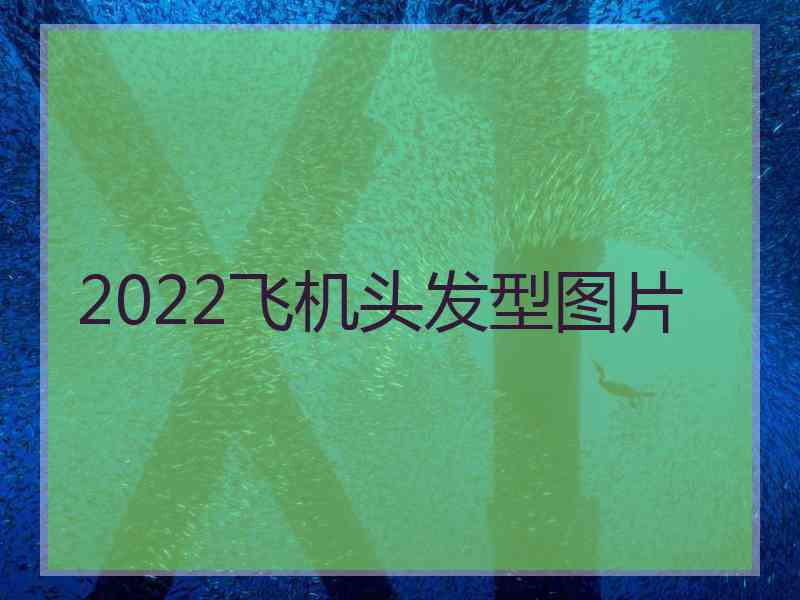 2022飞机头发型图片