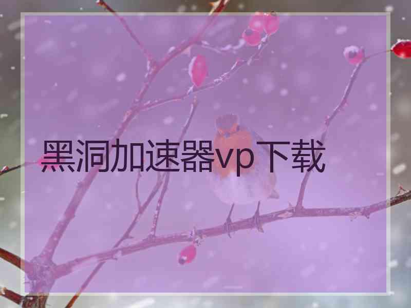 黑洞加速器vp下载