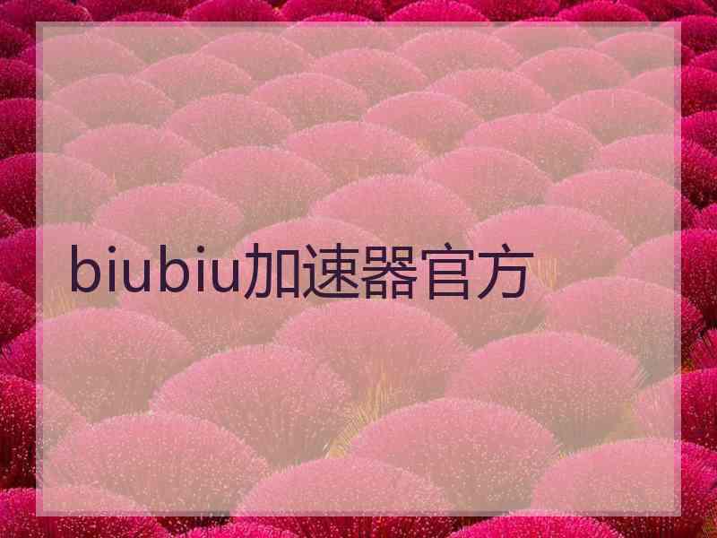 biubiu加速器官方