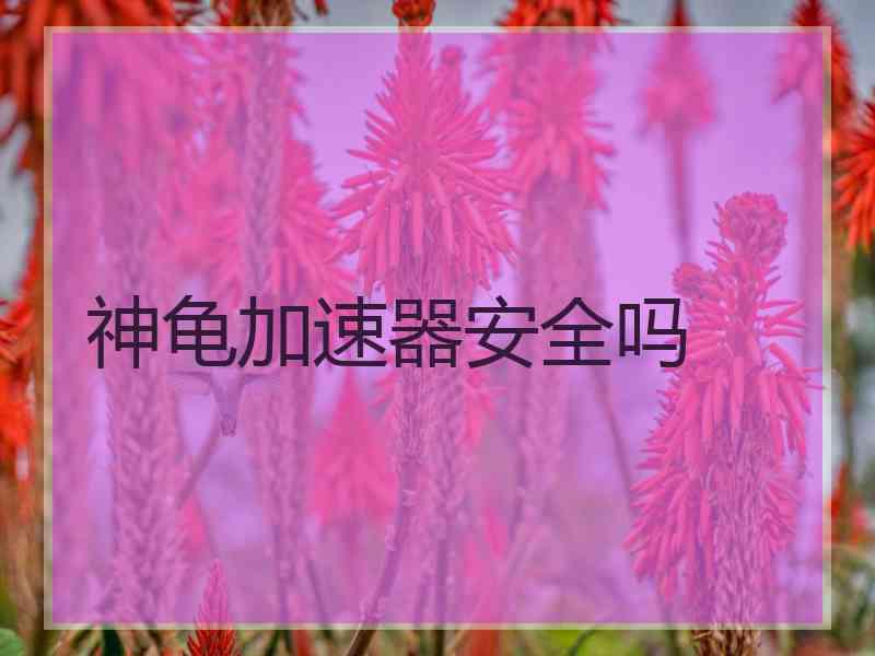 神龟加速器安全吗