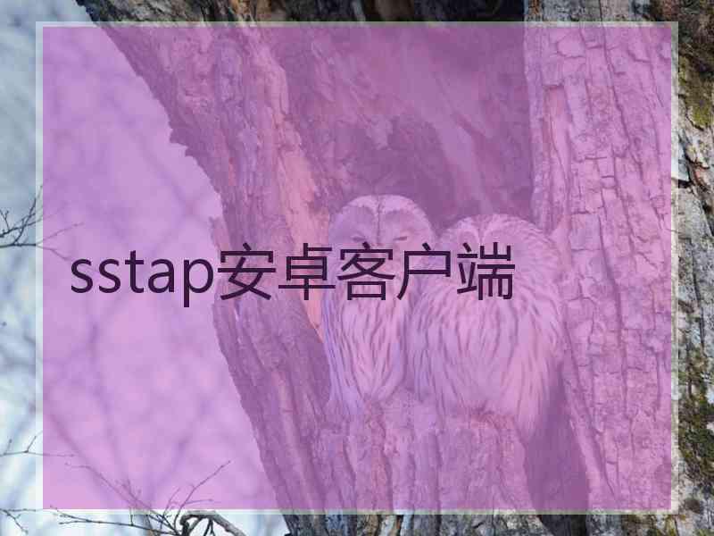 sstap安卓客户端