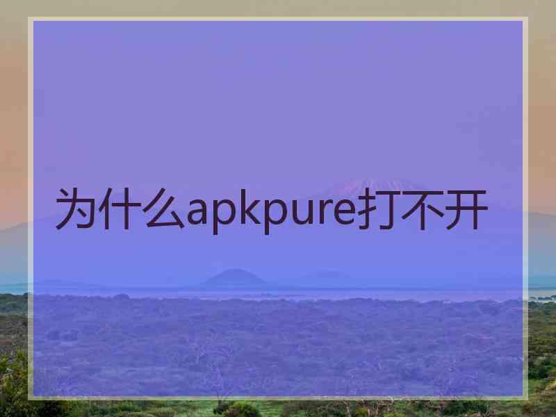 为什么apkpure打不开