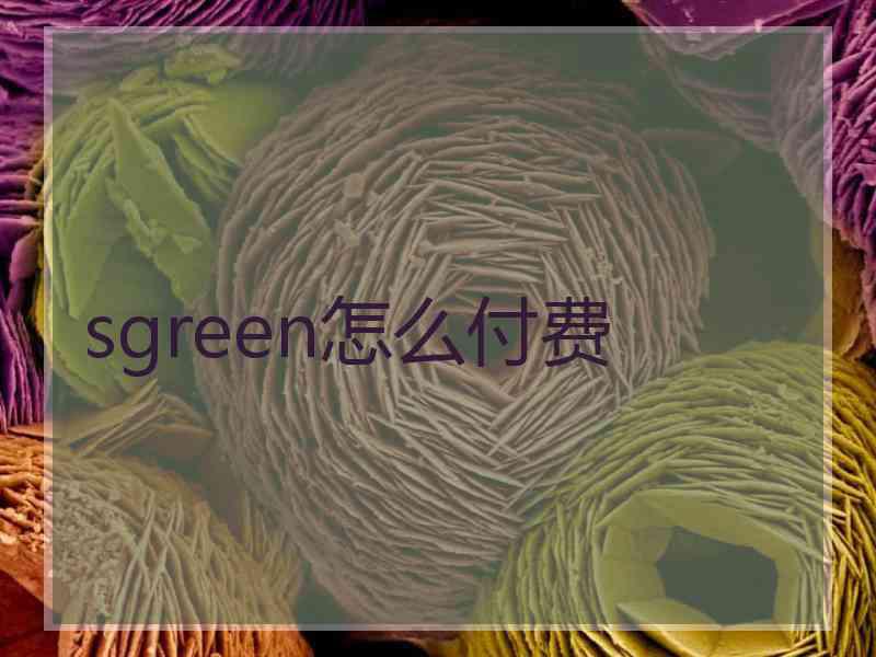 sgreen怎么付费