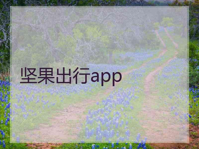 坚果出行app