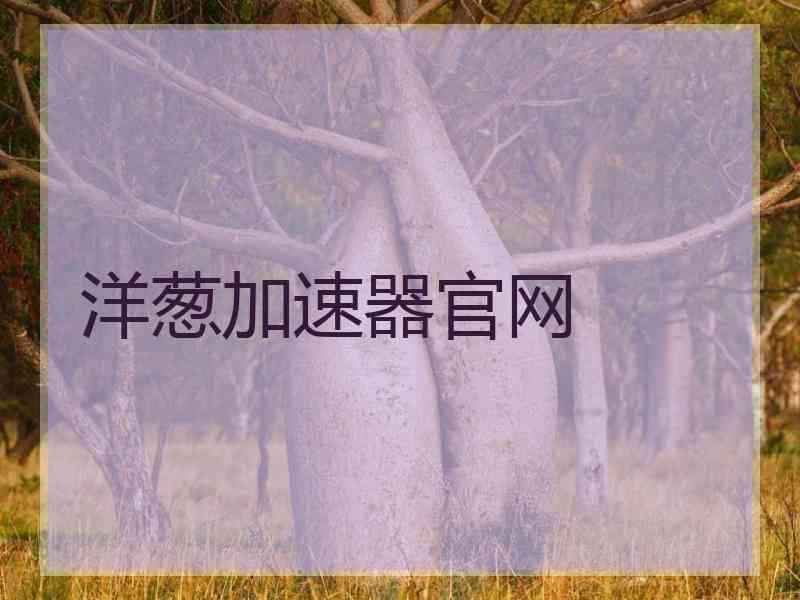 洋葱加速器官网