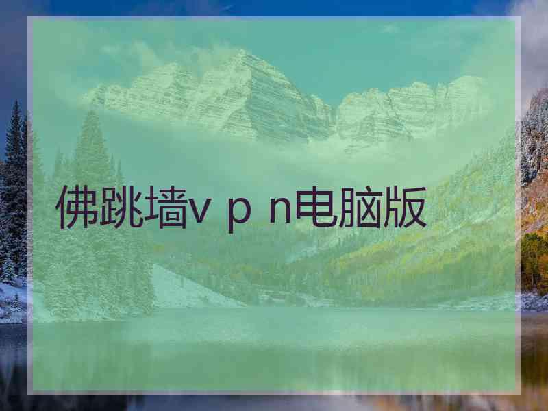 佛跳墙v p n电脑版