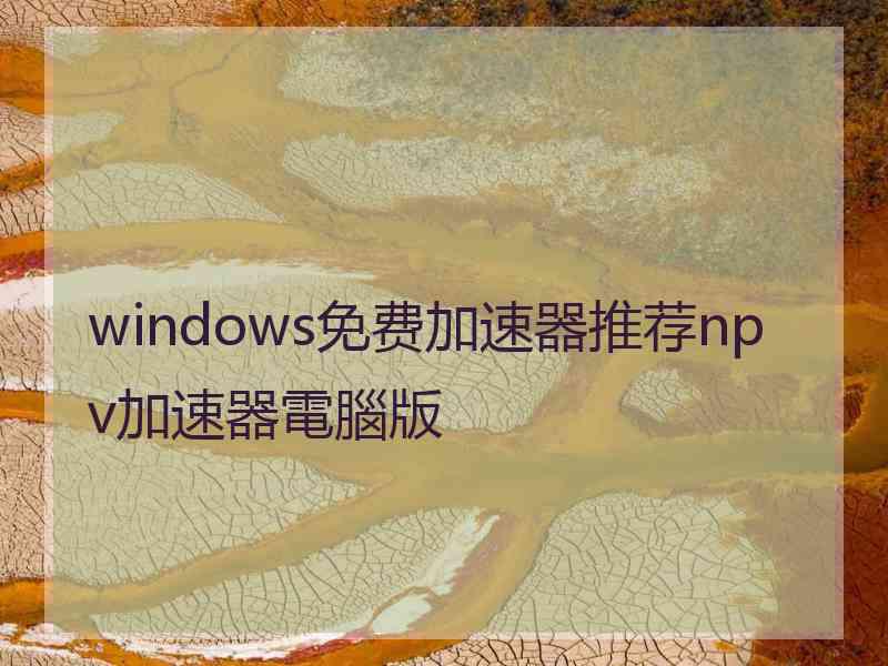 windows免费加速器推荐npv加速器電腦版