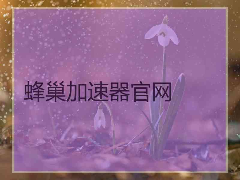 蜂巢加速器官网