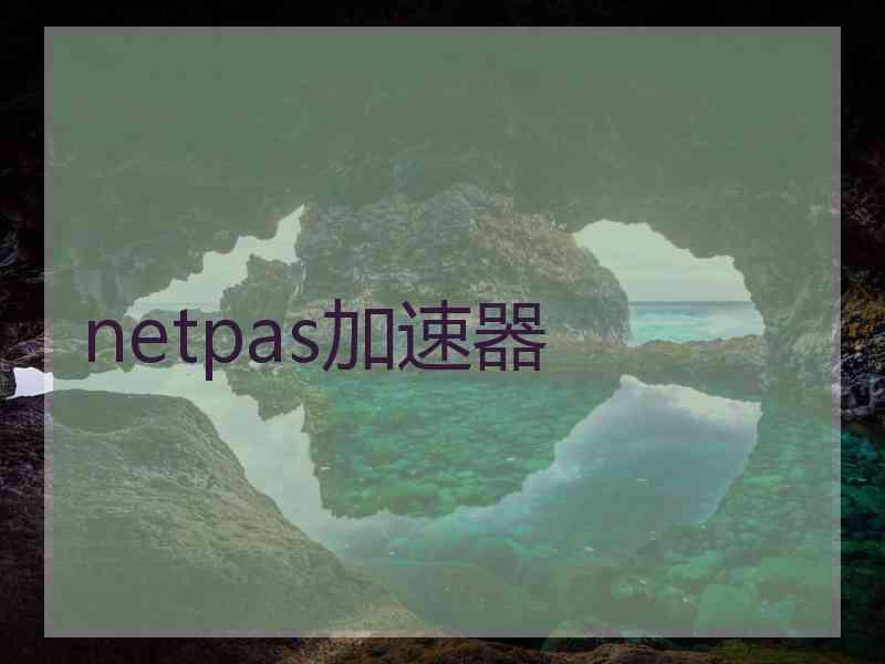 netpas加速器