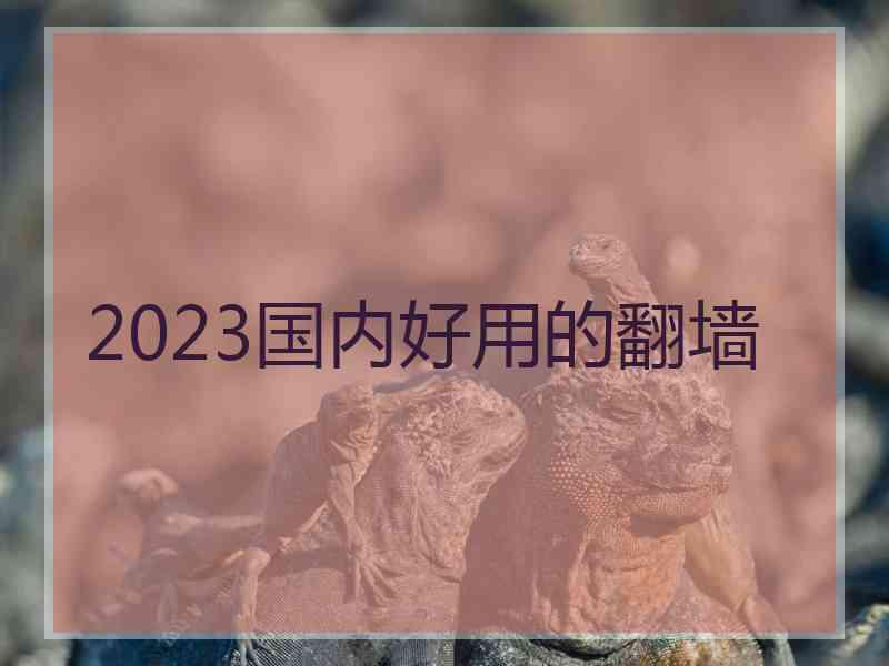 2023国内好用的翻墙