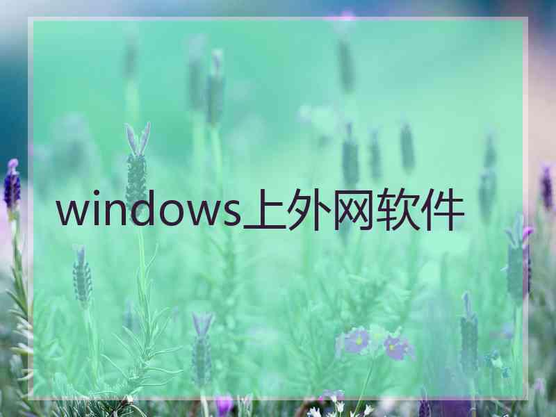 windows上外网软件