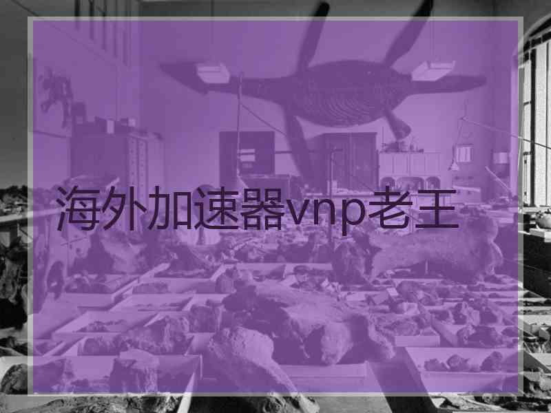 海外加速器vnp老王