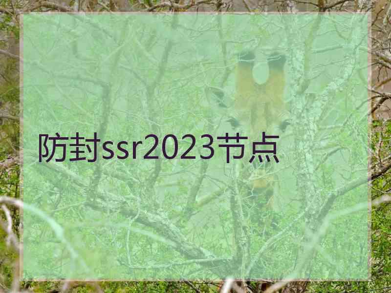 防封ssr2023节点