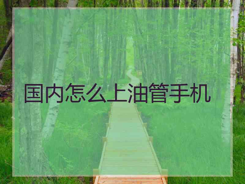 国内怎么上油管手机