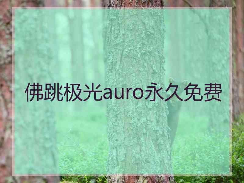 佛跳极光auro永久免费