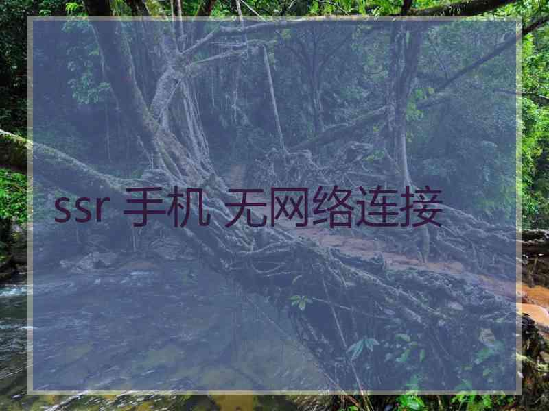 ssr 手机 无网络连接