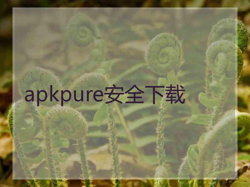 apkpure安全下载