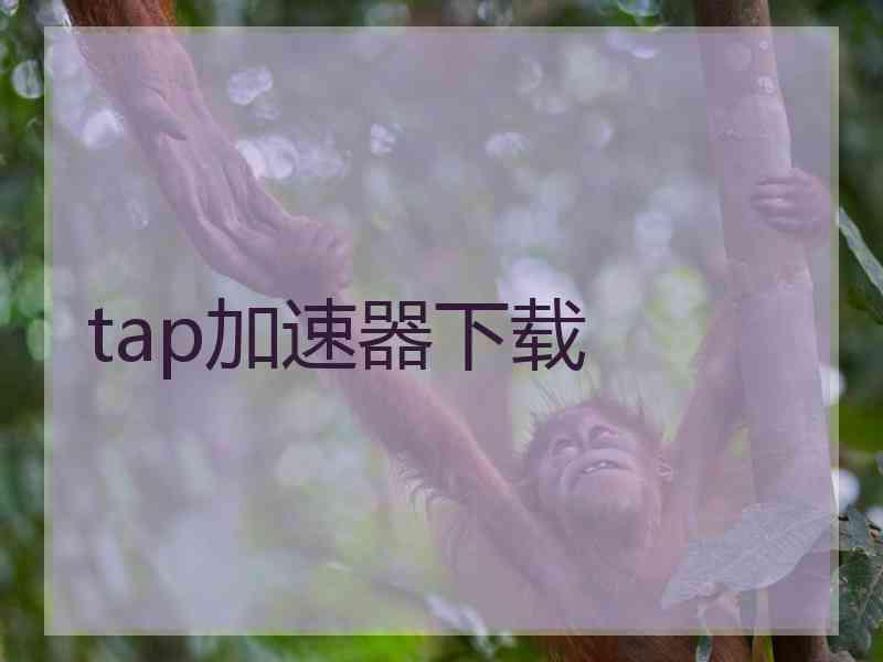 tap加速器下载